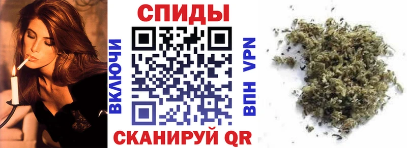 omg сайт  даркнет формула  Бутират BDO  Торопец 